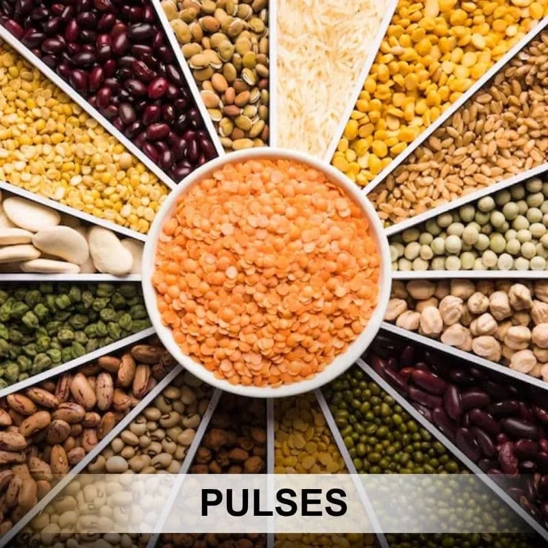 Pulses products